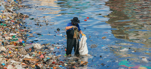 The new standard in sustainability: facts, feelings and the future of our planet.